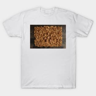 Walnuts on a wooden board T-Shirt